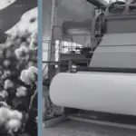 The Journey of Cotton for Toweling: From Field to Finished Turkish Towels